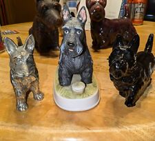 Three scottish terrier for sale  Wingdale