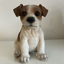 Jack russell puppy for sale  BIRMINGHAM