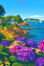 Affiche poster ile d'occasion Affiche poster ile d'occasion  Soorts-Hossegor