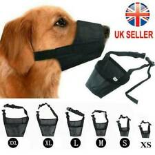 Adjustable nylon dog for sale  MANCHESTER