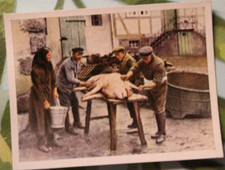 Sammelbild 237 ramses gebraucht kaufen  Neugersdorf