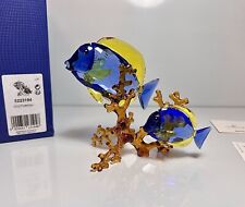 Swarovski pesce chirurgo usato  Italia