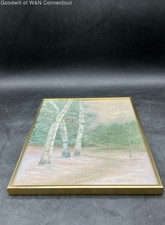 Landscape birch trees for sale  Bridgeport