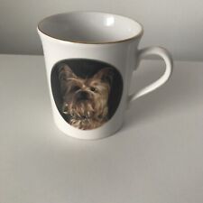 Yorkshire terrier dog for sale  CLECKHEATON