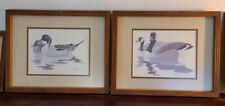 pintails duck picture for sale pintails duck picture for sale Pembroke