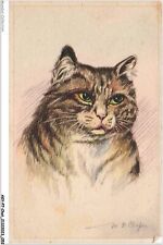 Akyp7 0635 chat d'occasion  France