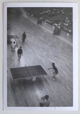 Table tennis gym d'occasion  Expédié en Belgium
