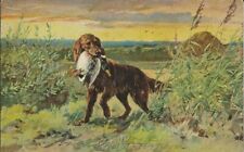 Vintage dog german for sale  Harrisburg