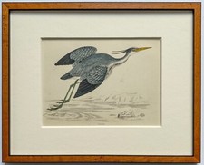 Reiher heron holzstich gebraucht kaufen  Berlin