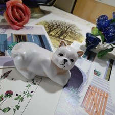 Gatto gattino ceramica usato  Vinadio