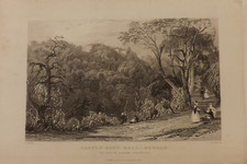 19th century engraving for sale  PORTLAND