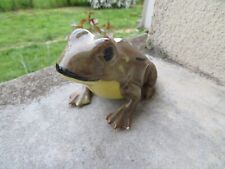 Ceramic frog d'occasion  Expédié en Belgium