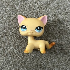 Rare littlest pet for sale  Bethlehem