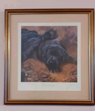 Paws thought black for sale  WITHAM