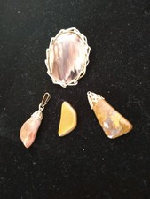 Lot petrified wood for sale  Columbia