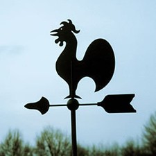 Edelstahl wetterfahne hne gebraucht kaufen Edelstahl wetterfahne hne gebraucht kaufen  Ladbergen