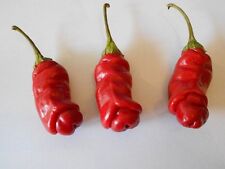 Penis chilli erotische gebraucht kaufen  Kaiserslautern