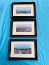 F.j.widgery framed prints for sale  LAUNCESTON