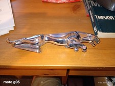 jaguar mascot for sale jaguar mascot for sale BISHOP AUCKLAND