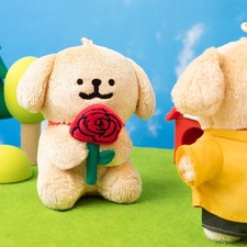 bichon maltais toy d'occasion  Expédié en Belgium