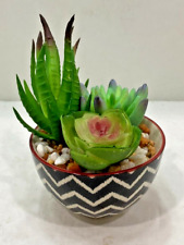 Faux succulents ceramic for sale  Woodburn