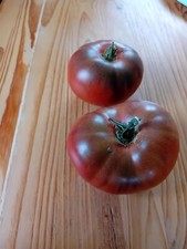 Graines tomate cherokee d'occasion  Châteaulin