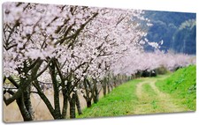 Quadro moderno arredamento usato  Monopoli