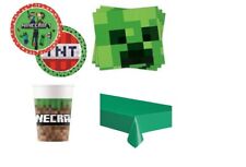 Kit coordinato minecraft usato  Castel San Giorgio