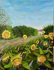 Campo girasoli usato  Cittadella