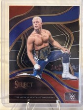 Cody rhodes 2024 for sale  Deer Park