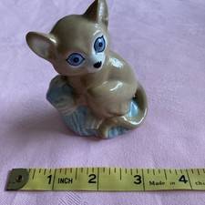 Szeiler bush baby for sale  NEW MALDEN