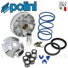 Polini speed aprilia d'occasion  Expédié en Belgium