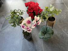 Selection artificial plants for sale  WEYBRIDGE