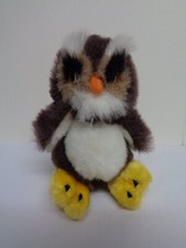 Barn owl bird for sale  WEST BROMWICH