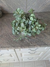 Kunstpflanze kunstblume grün gebraucht kaufen  Iggensbach
