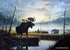 Les kouba moose for sale  Annandale