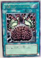 Japanese spell brain gebraucht kaufen  Deutschland