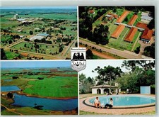 10271742 guarapuava donauschwa gebraucht kaufen  Eimeldingen