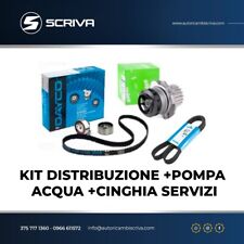 Kit distribuzione pompa usato  Taurianova