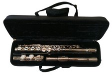 Querflöte yiwu woodwinds gebraucht kaufen  Weiding