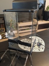 Tall exo terra for sale  OLDBURY