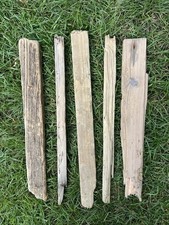 38cm flat ish for sale  CLACTON-ON-SEA
