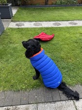 Pet collection reservable for sale  MANCHESTER