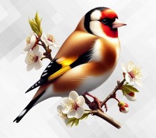 Floral goldfinch bird for sale  UK