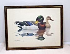 Mallard duck print for sale  Scales Mound