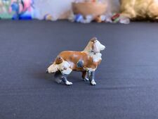 Collie dog miniature for sale  KING'S LYNN