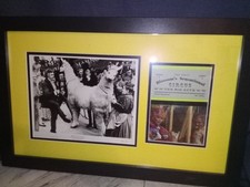 Doctor dolittle blossoms for sale  Mesa
