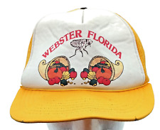 Vintage webster fla for sale  Clermont