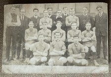 Cotton tree wesleyans for sale  BROUGH