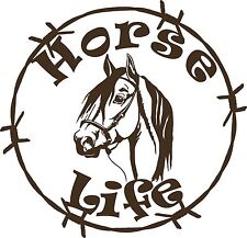 Horse life barb for sale  Chatsworth